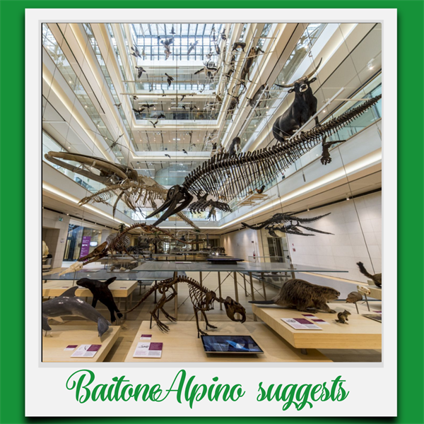 BaitoneAlpino suggests: Muse Trento
